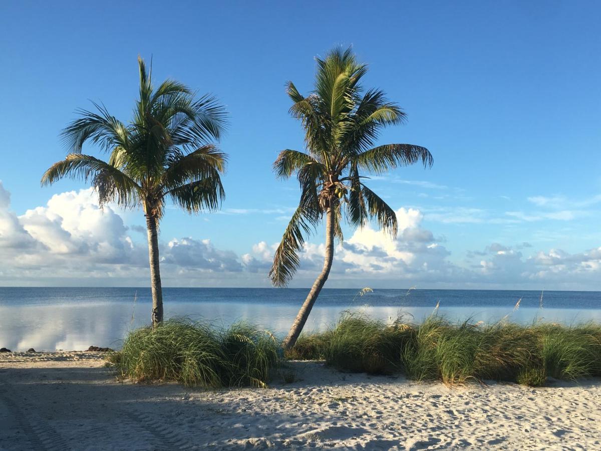Deer Run On The Atlantic Bed and Breakfast Big Pine Key Eksteriør billede